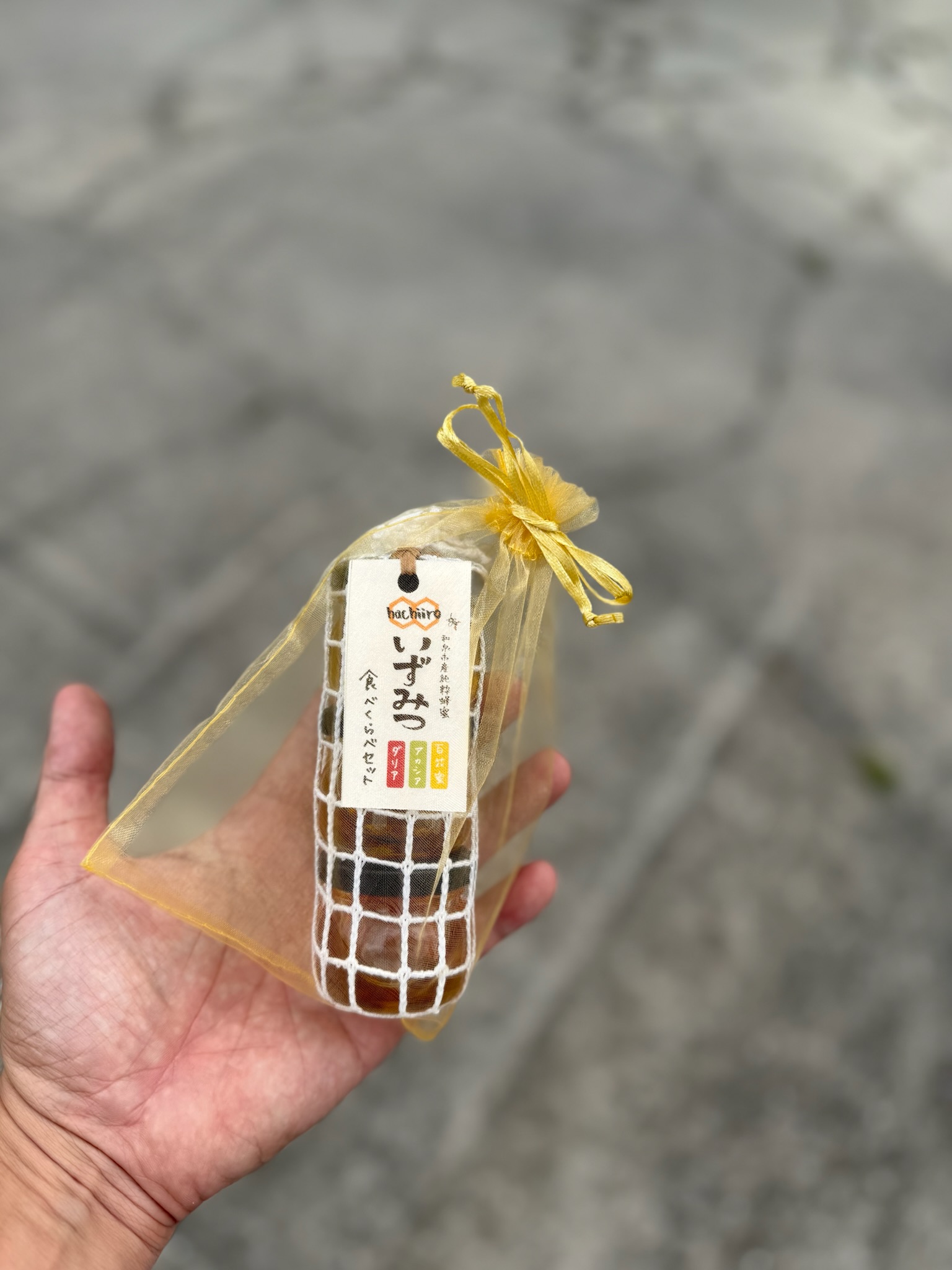 ギフト用バック