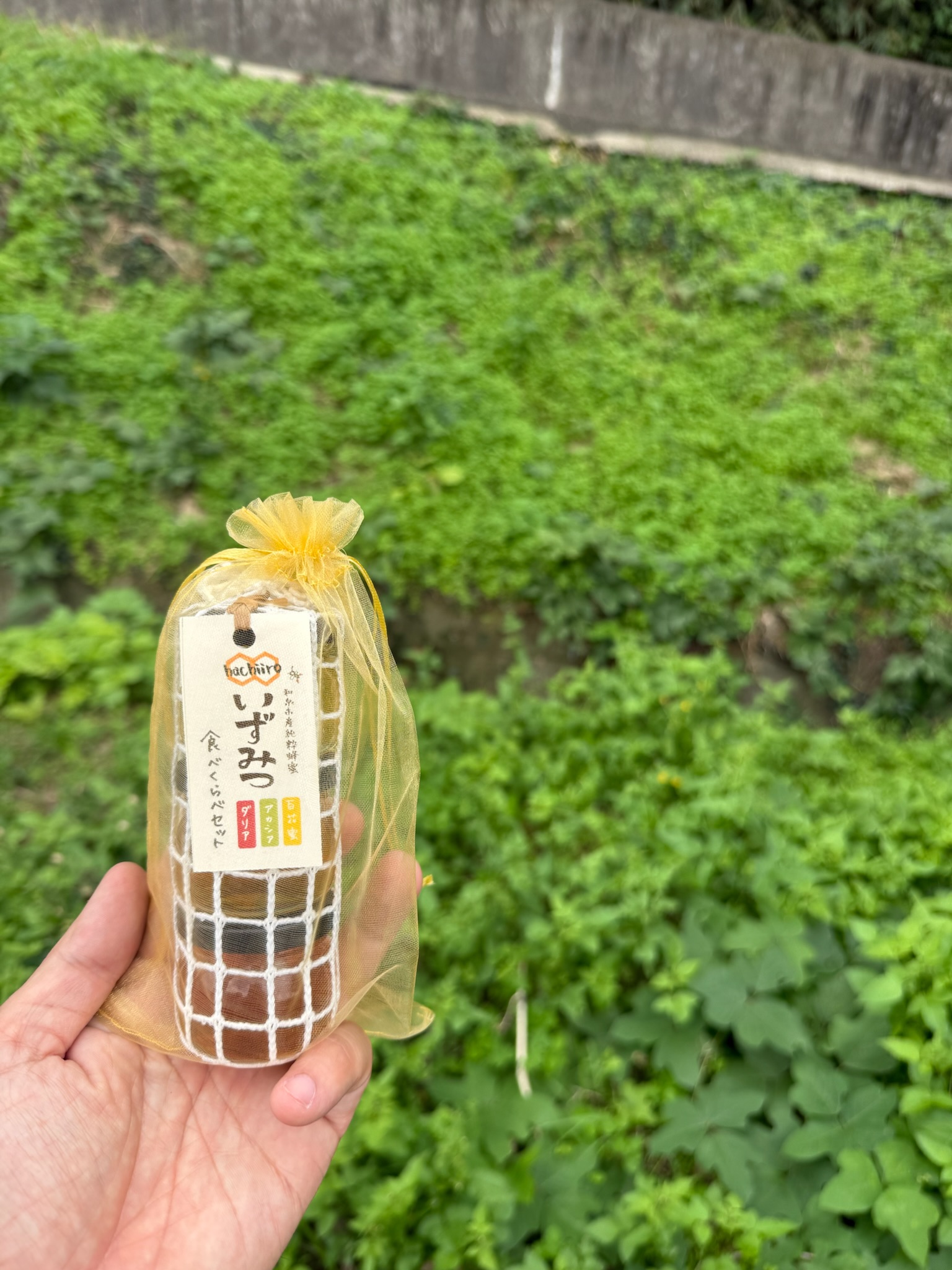 ギフト用バック