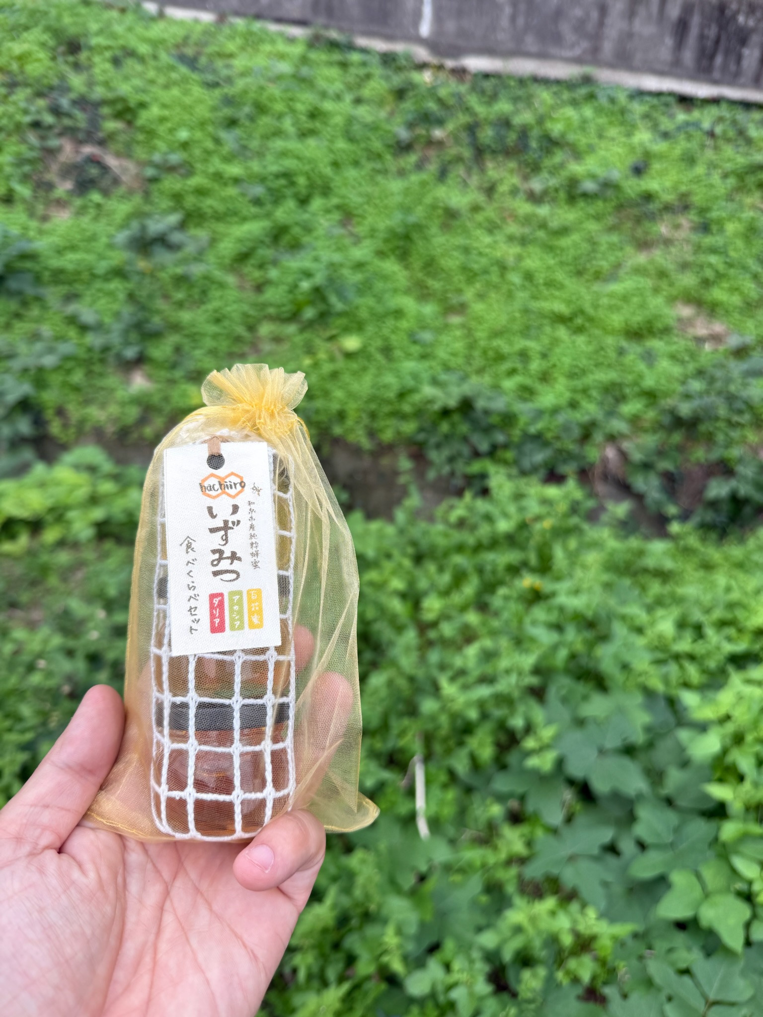 ギフト用バック